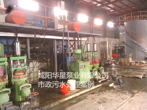 華星節(jié)能柱塞泵在污水處理廠使用現場